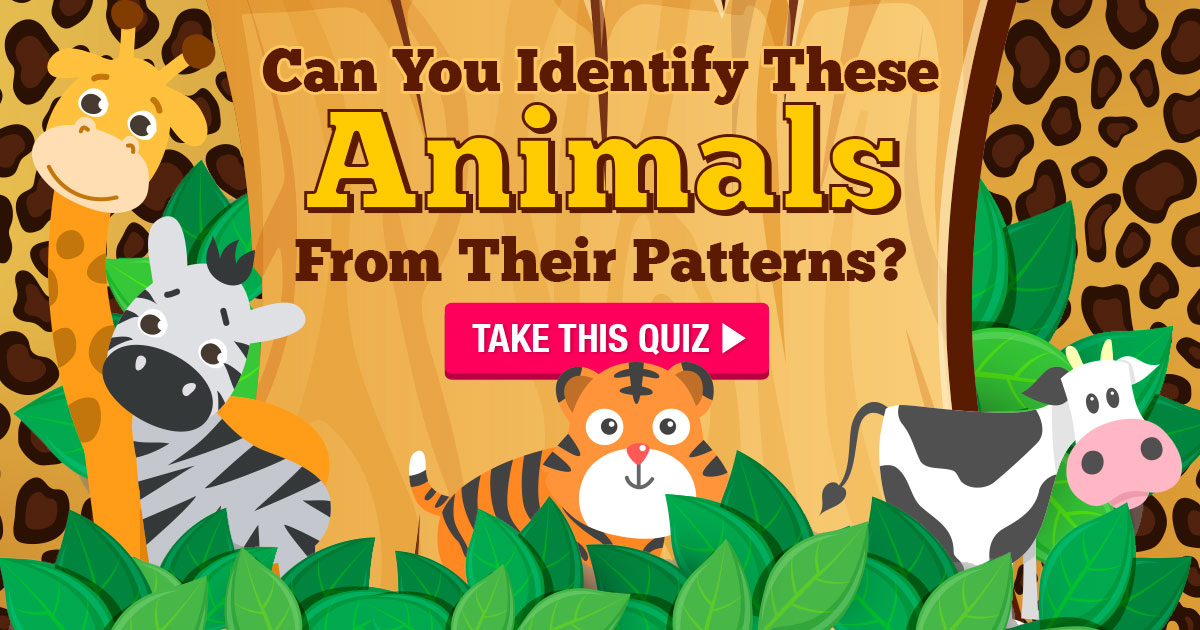 Can You Identify These Animals From Their Patterns?