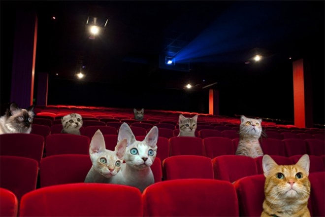 Which Winter Comfort Food Are You? Quiz Watching a movie marathon