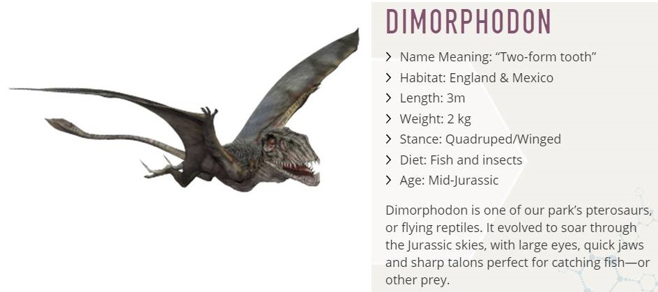 You are a Dimorphodon! What “Jurassic World” Dinosaur Am I?