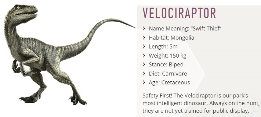 You are a Velociraptor! What “Jurassic World” Dinosaur Am I?