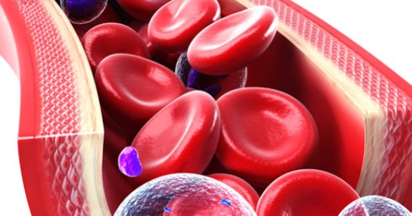 How Well Do You Know the Human Body? Quiz Cord blood 11