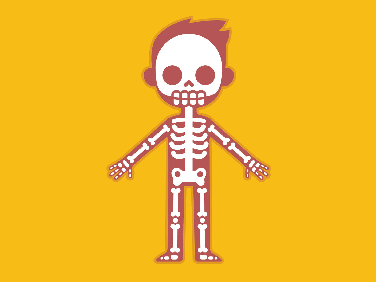 Basic Human Anatomy Quiz: Test Yourself 💪 Skeleton