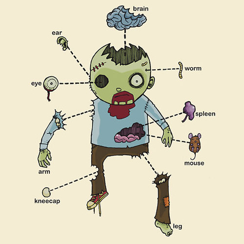 Survive The Zombie Apocalypse Quiz 🧟‍♂️ zombie attack anatomy