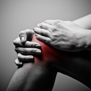 If You Pass This Quiz WIth Flying Colors, Then You Definitely Know Enough About Science The patella
