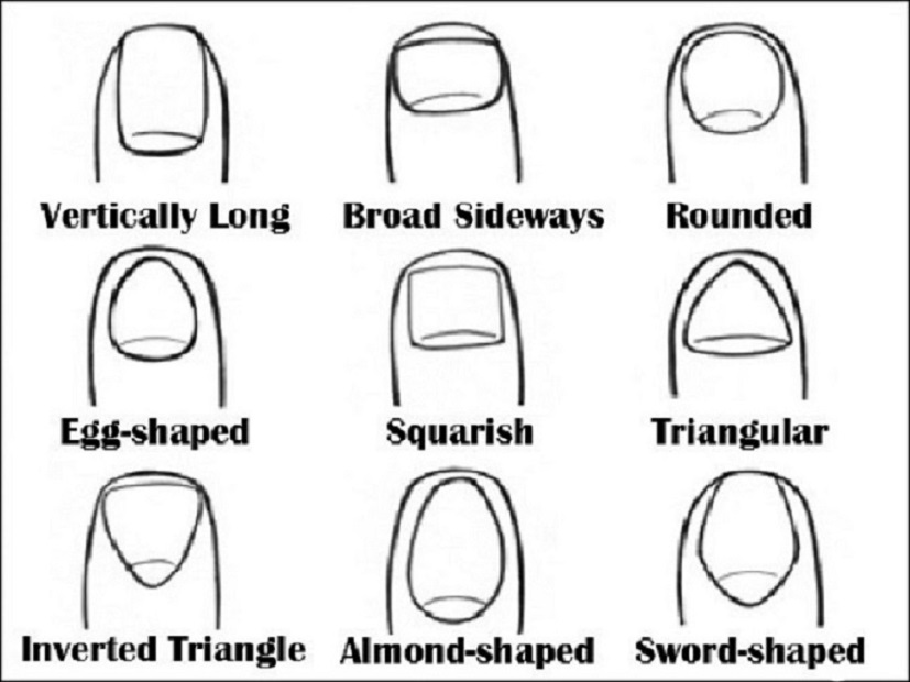 What Your Nail Shape Says About You Cover BIG