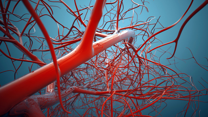 Can You Answer These Basic Nursing Questions? Blood Vessels