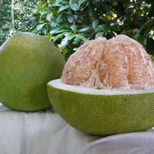 Which Fruity Cake Are You? Quiz Pomelo