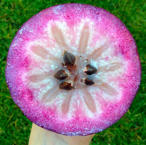 Uncommon Fruits Name Quiz 🍑🍋🍆 Star apple