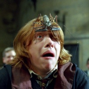 Harry Potter Quotes Quiz Ron Weasley