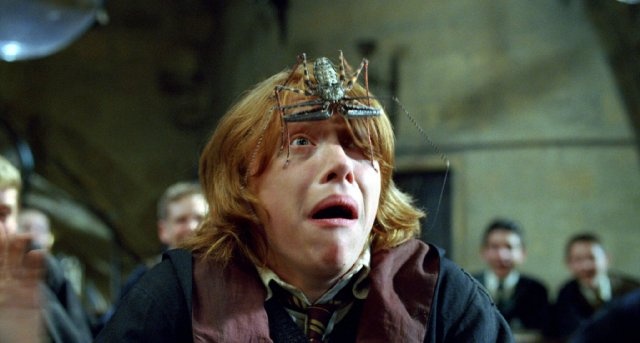 You got 17 out of 50! Can You Pass the Giant Harry Potter Trivia Quiz?