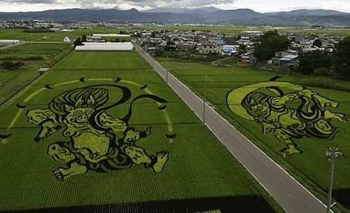 How Well Can You Spot Fake Photos? rice field