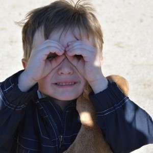 Which The Bear Character Are You? Quiz Focus and work through it