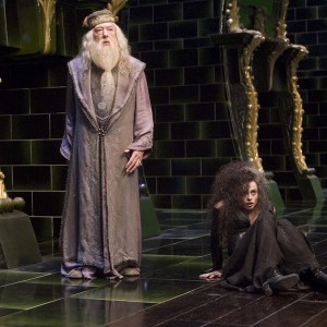 Harry Potter Quotes Quiz Albus Dumbledore