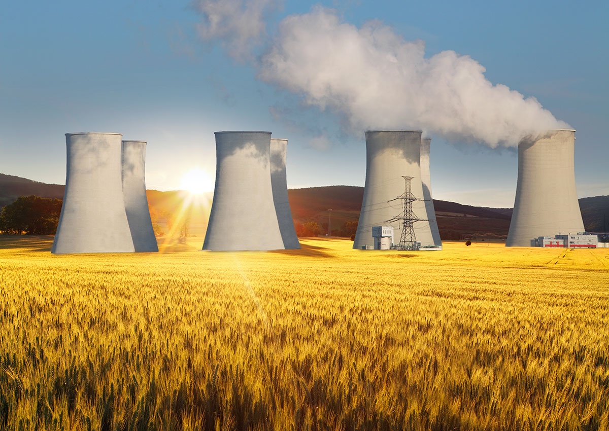 Can You Pass a Basic Science Quiz? Nuclear Plant