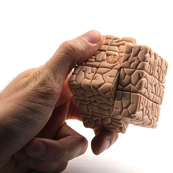 How Well Do You Know Your Brain? brain activities