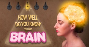 How Well Do You Know Your Brain? Quiz