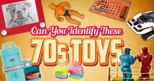 Can You Identify These 1970s Toys? Quiz