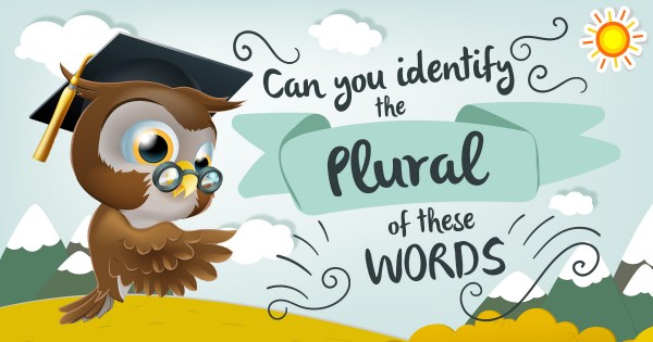 Plural Quiz 📚! Can You Name These English Plurals?
