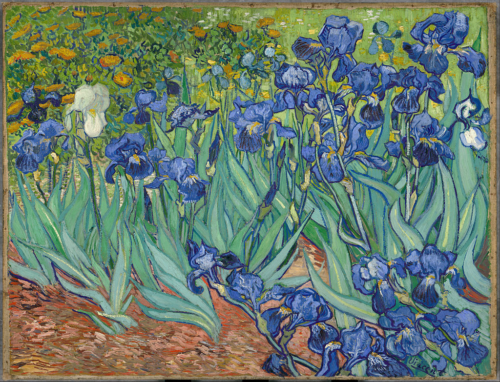 Famous Paintings Quiz Irises by Vincent van Gogh