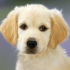 Spring Idioms Quiz Dog
