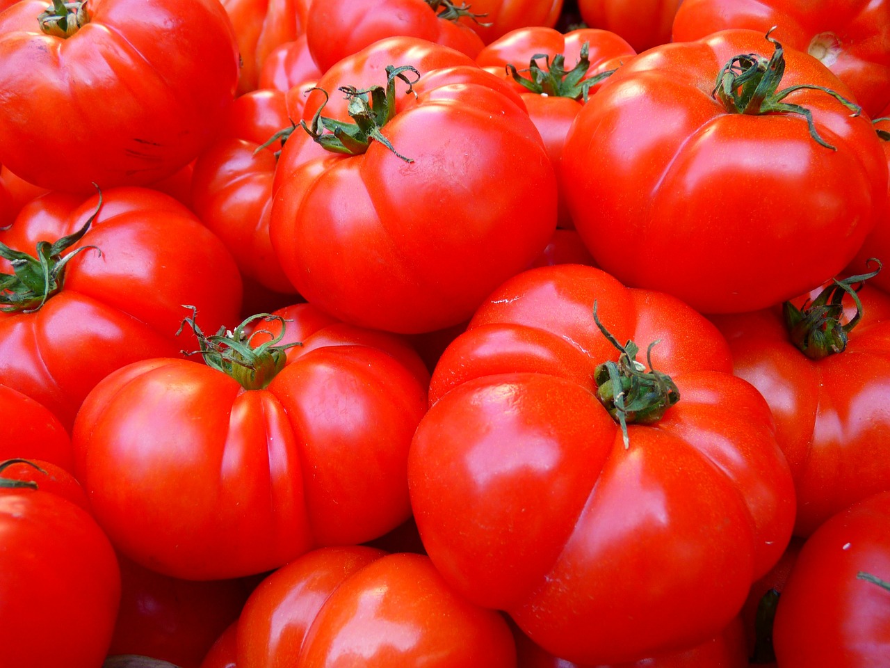 Here Are 20 General Knowledge Questions — How Many Can You Answer Correctly? Tomatoes