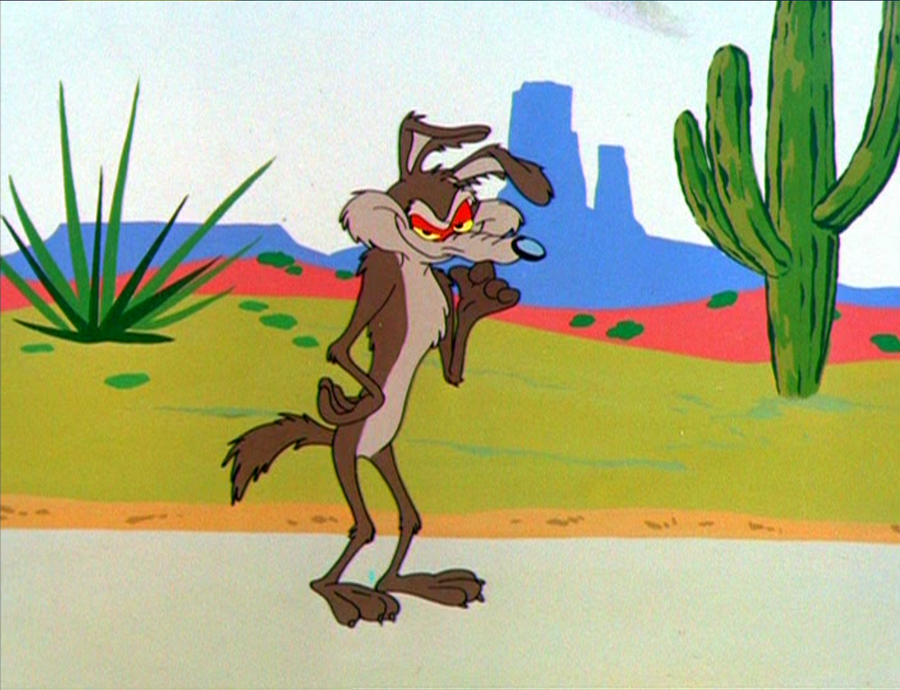 Looney Tunes Quiz Wile E. Coyote