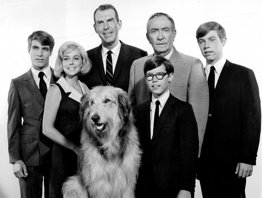 Can You Name These 1960s TV Shows? (Easy Level) 16