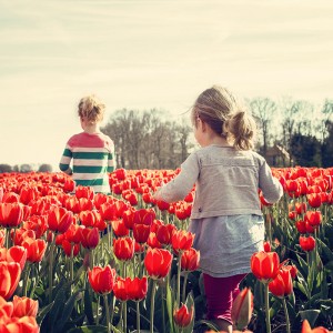 If You Are General Knowledge Know-It-All, You Shouldn't… Quiz Tulip