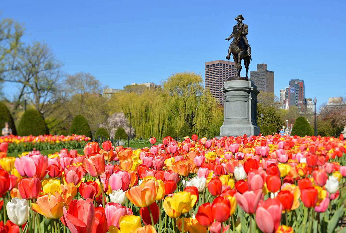 How Well Do You Know Boston Slang? Boston Public Garden