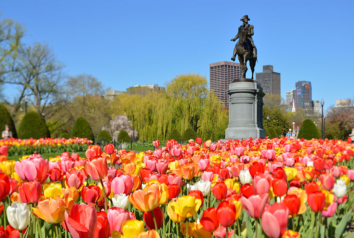 Boston Public Garden