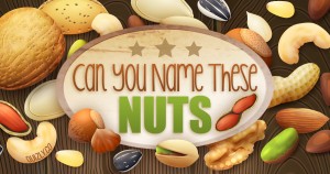 Can You Name These Nuts? 🥜 Quiz