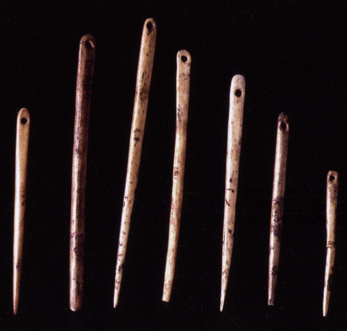 Can You Answer These Sewing Trivia? 01 Bone Needles