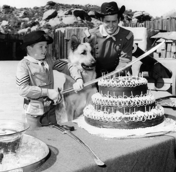 Can You Name These 1950s Children’s TV Shows? 05 The Adventures of Rin Tin Tin