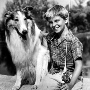 The Hardest Game of “Which Must Go” For Anyone Who Loves Classic TV Lassie