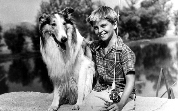 Can You Name These 1950s Children’s TV Shows? Lassie