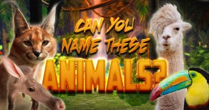 Can You Name These Animals? Quiz