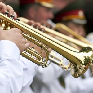Can You *Actually* Crush This Mixed Knowledge Quiz on Your First Try? Trumpet