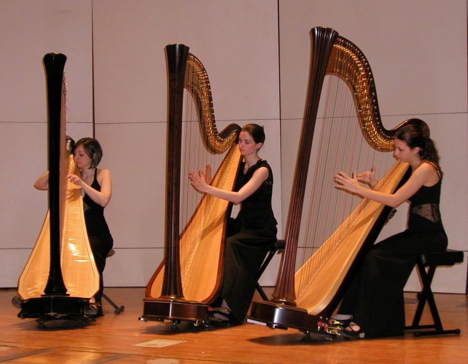 Can You Name These Musical Instruments? 🥁🎷🎸🎺🎻 Harps