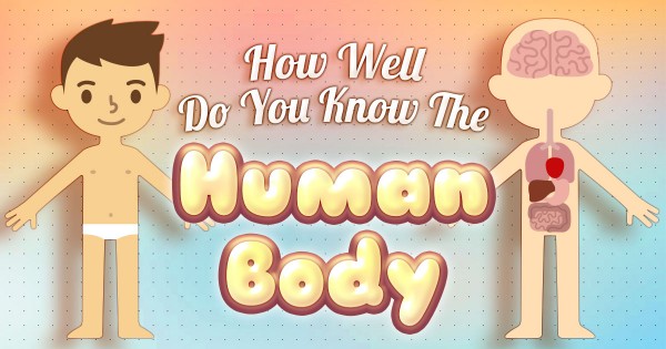 How Well Do You Know the Human Body?