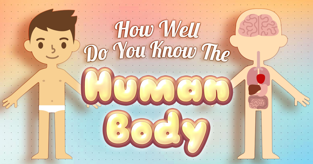 How Well Do You Know the Human Body? Quiz