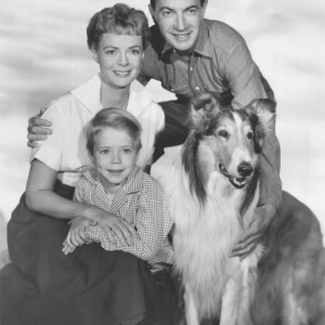 Pick Popular TV Sitcoms From Various Decades, To Know W… Quiz Lassie