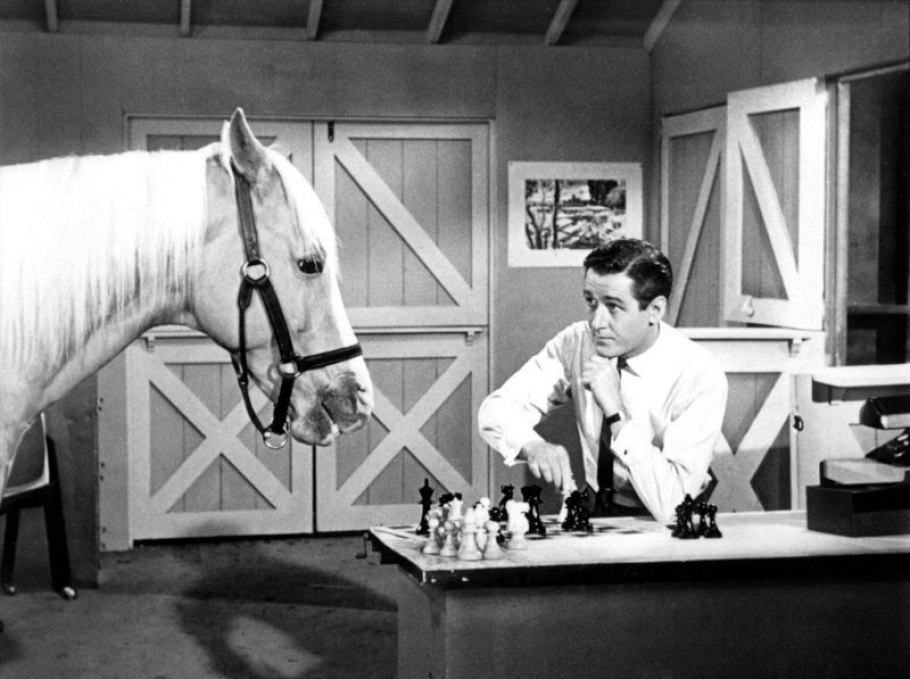 Classic TV Quiz: Can You Pass A 1960s TV Trivia Quiz? 04