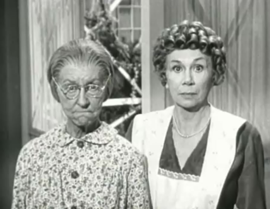 How Well Do You Know “The Beverly Hillbillies”? 14