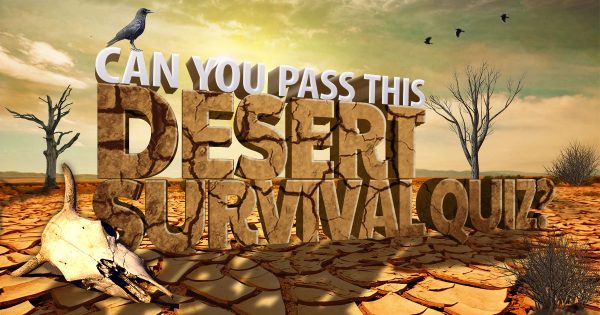 🌵 Can You Pass This Desert Survival Quiz?