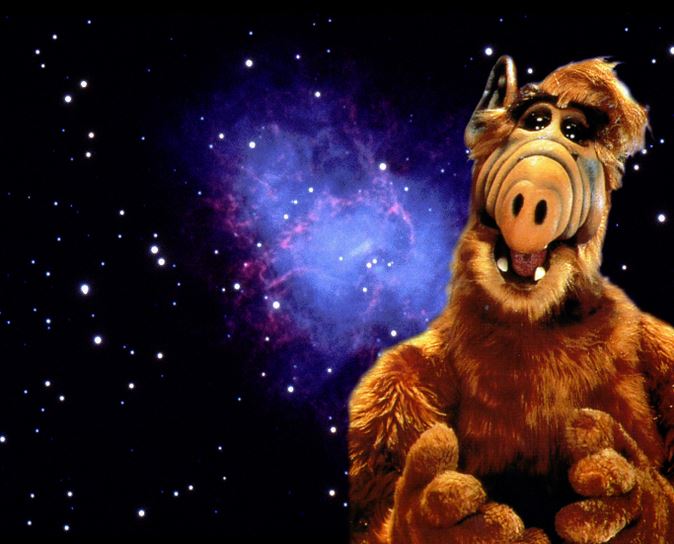How Well Do You Know “ALF”? 02