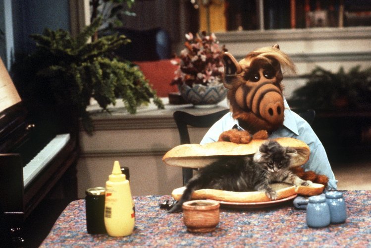 How Well Do You Know “ALF”? 