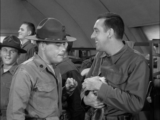 How Well Do You Know “Gomer Pyle U.S.M.C.”? Quiz 02