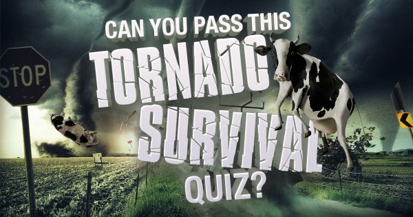🌪 Can You Pass This Tornado Survival Quiz?