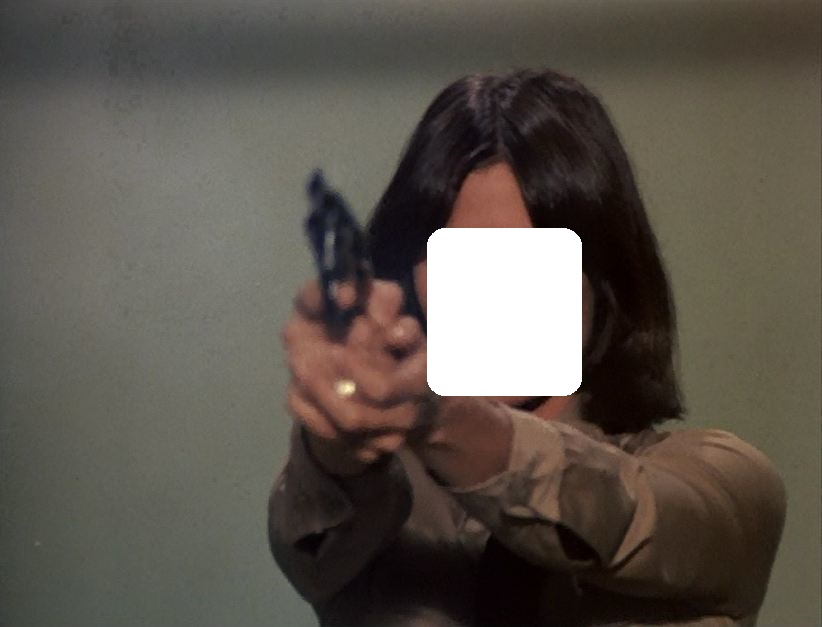 Can You Identify These 1970s Actresses by Their Hairstyles? 05 Sabrina Duncan from Charlie's Angels 1
