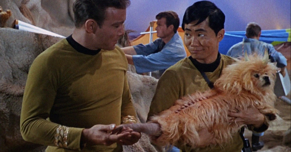 What Is Wrong With These Star Trek Pictures? Quiz 04